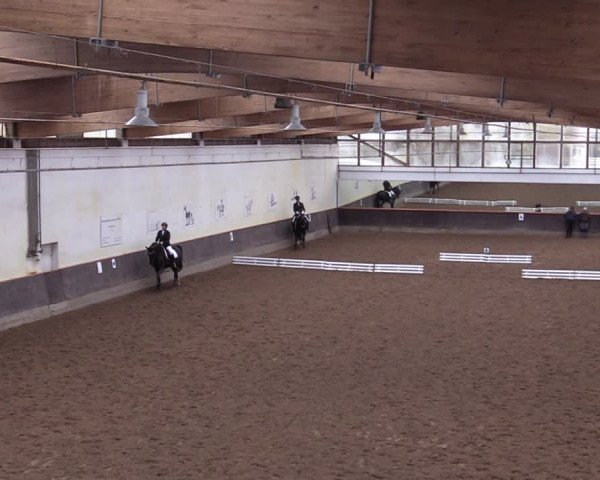 Reitturnier Dallgow 2019