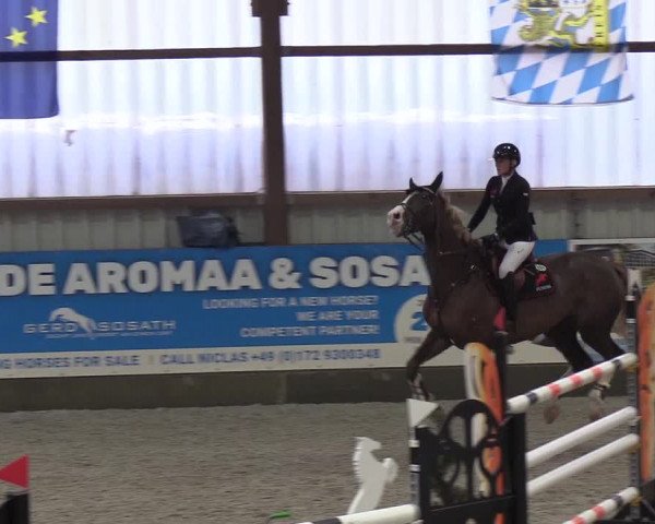 Nordic Jumping events 2019