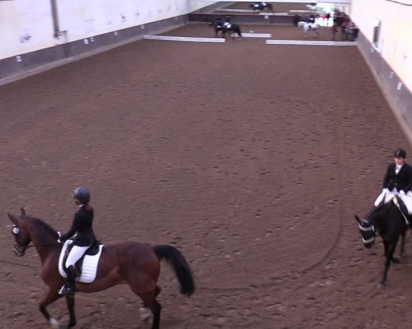 Reitturnier Dallgow 2019