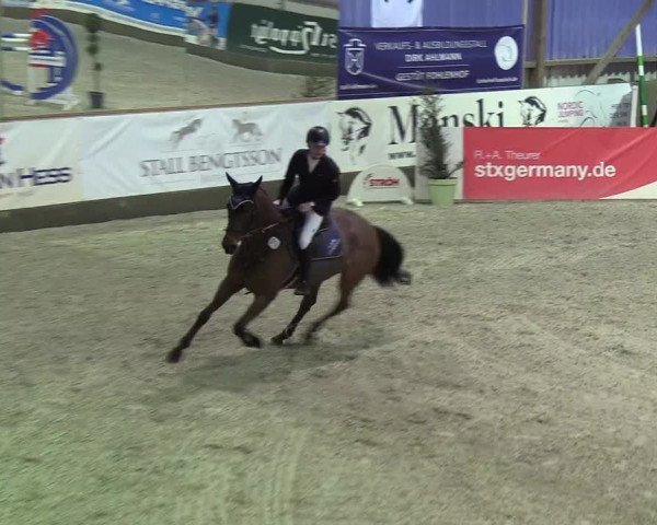 Nordic Jumping events 2019