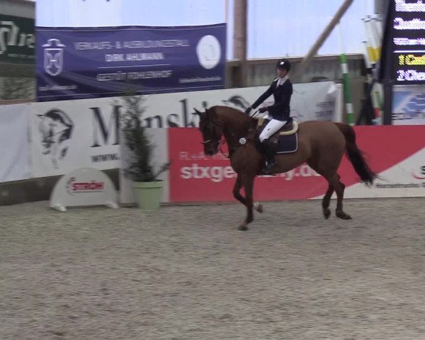 Nordic Jumping events 2019