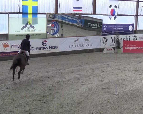 Nordic Jumping events 2019