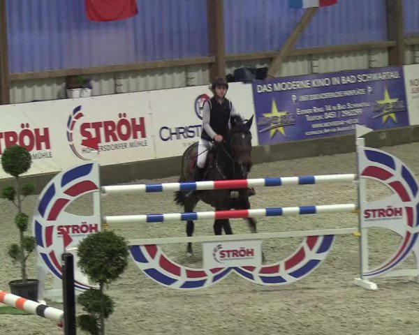 Nordic Jumping events 2019