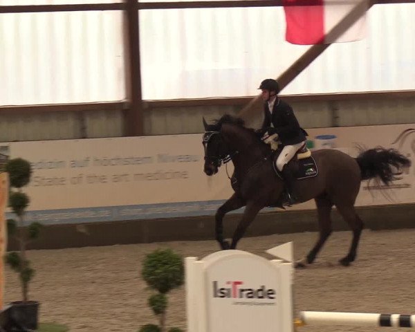 Nordic Jumping events 2019
