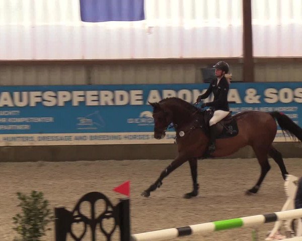 Nordic Jumping events 2019