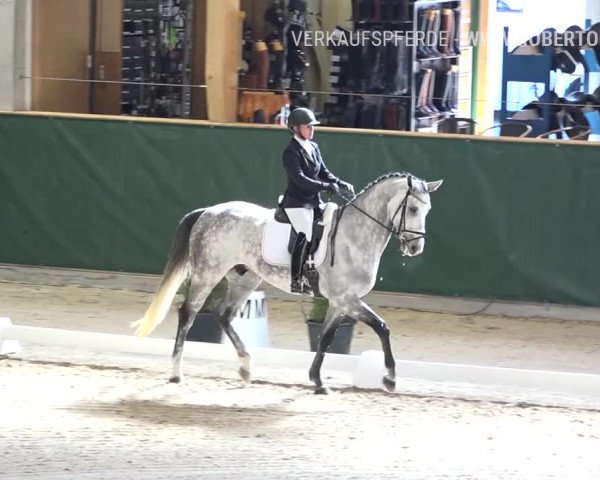 Reitturnier Dielsdorf, Horsepark 2019