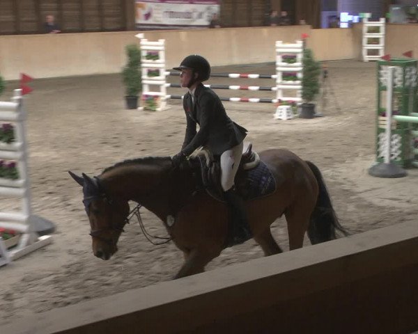 Reitturnier Mannheim-Neckarau 2019