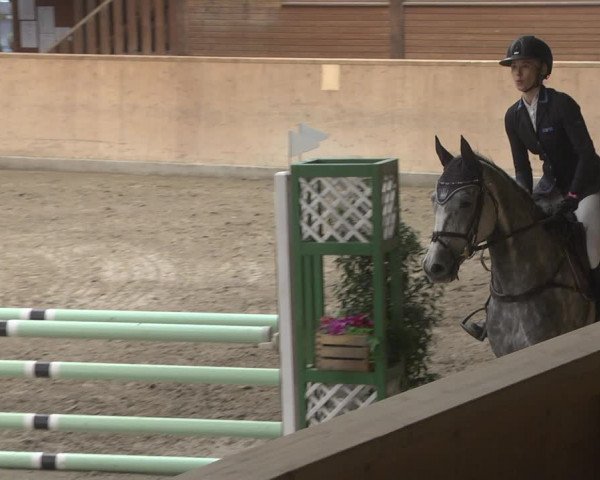 Reitturnier Mannheim-Neckarau 2019
