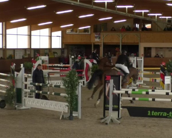 Reitturnier Dettingen 2019