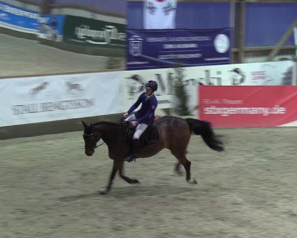 Nordic Jumping events 2019