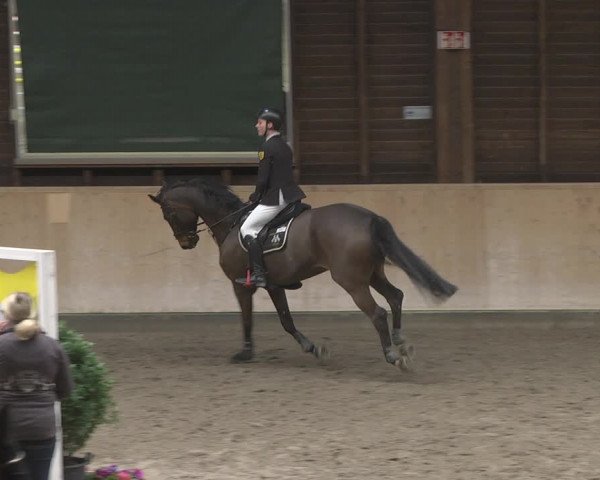 Reitturnier Mannheim-Neckarau 2019