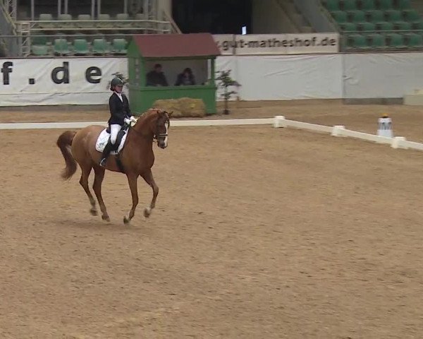 Reitturnier Kreuth/Opf. 2019