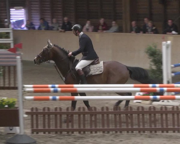 Reitturnier Mannheim-Neckarau 2019