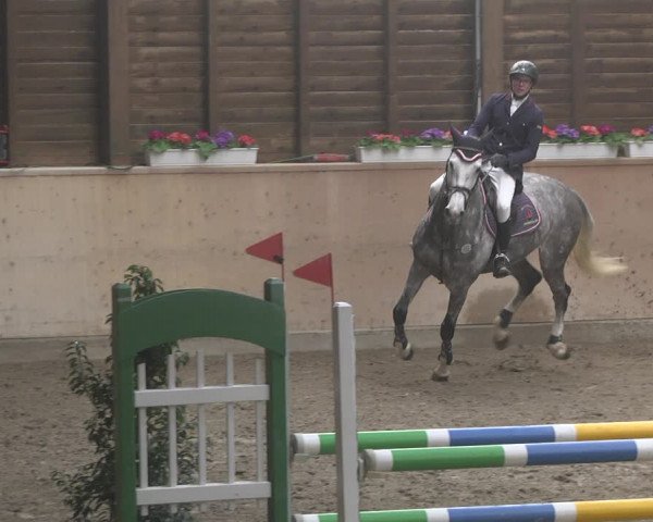 Reitturnier Mannheim-Neckarau 2019