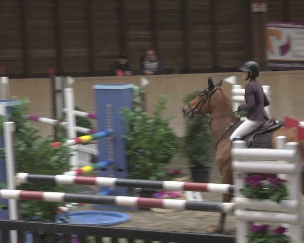 Reitturnier Mannheim-Neckarau 2019