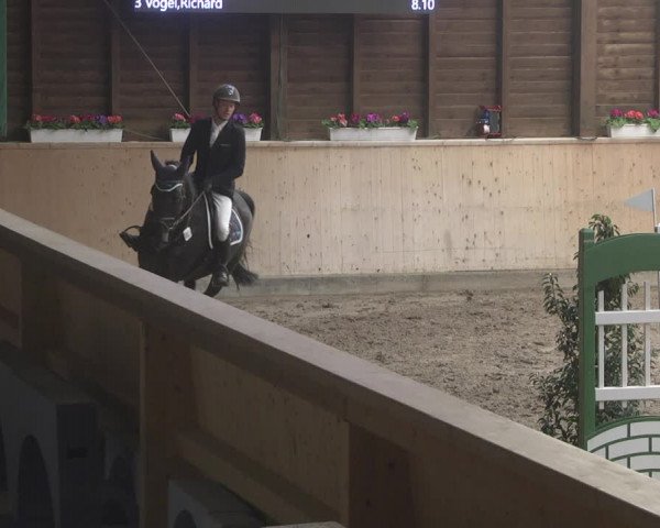 Reitturnier Mannheim-Neckarau 2019