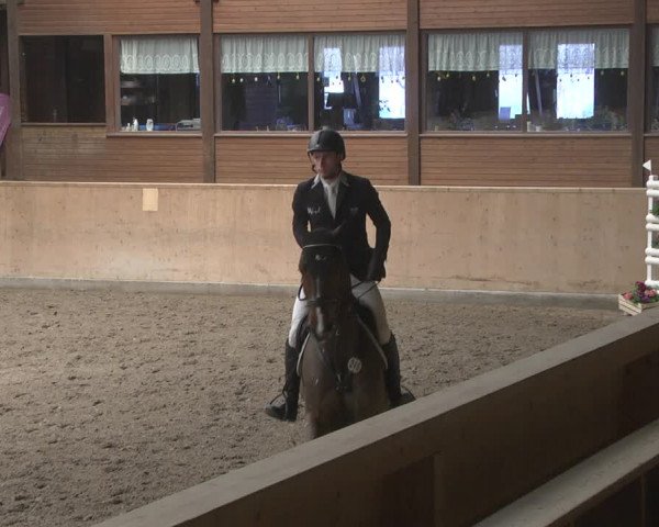 Reitturnier Mannheim-Neckarau 2019