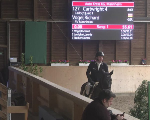 Reitturnier Mannheim-Neckarau 2019