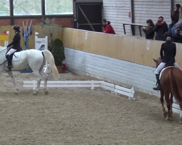 Reitturnier Monheim - Gut Blee 2019
