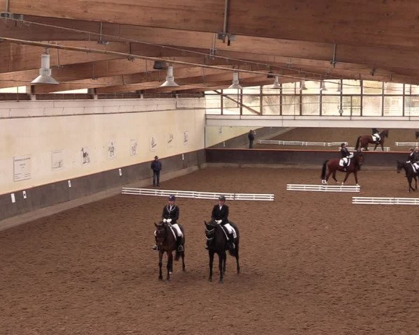 Reitturnier Dallgow 2019