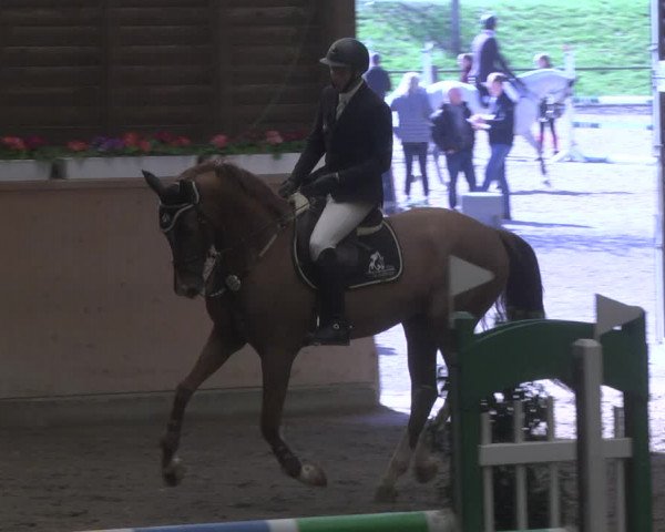 Reitturnier Mannheim-Neckarau 2019