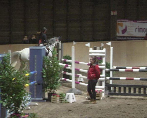 Reitturnier Mannheim-Neckarau 2019