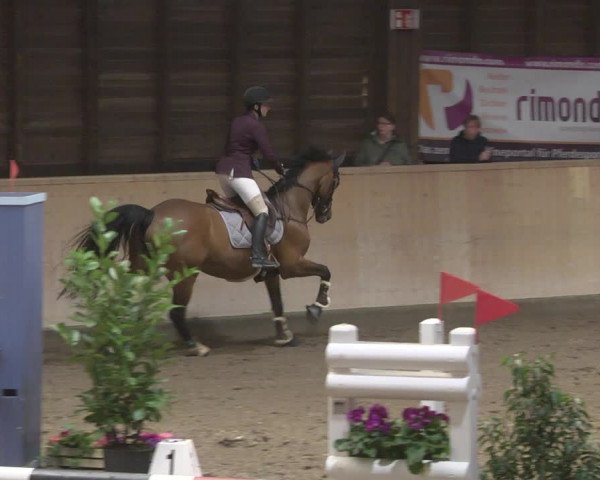 Reitturnier Mannheim-Neckarau 2019