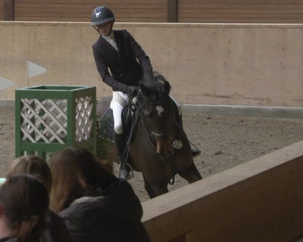 Reitturnier Mannheim-Neckarau 2019