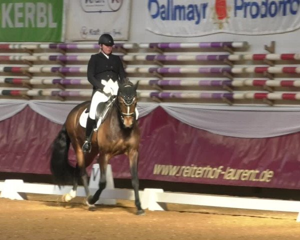 Reitturnier Eicherloh RH Laurent/Obb. 2019