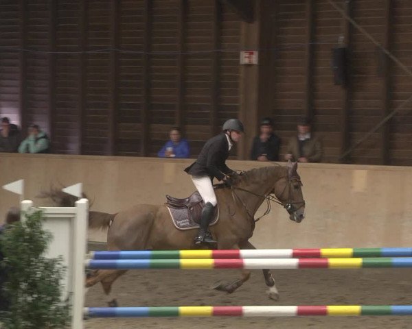 Reitturnier Mannheim-Neckarau 2019