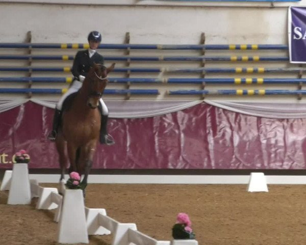Reitturnier Eicherloh RH Laurent/Obb. 2019