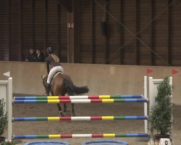 Reitturnier Mannheim-Neckarau 2019