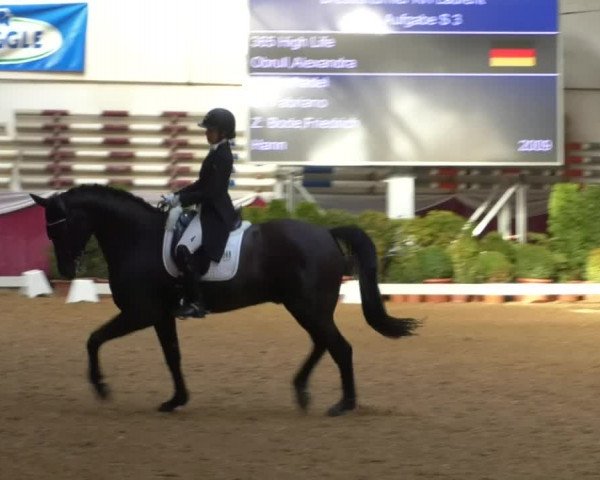 Reitturnier Eicherloh RH Laurent/Obb. 2019