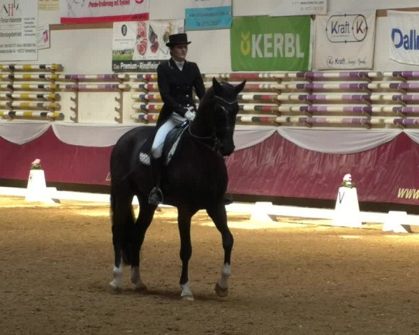 Reitturnier Eicherloh RH Laurent/Obb. 2019