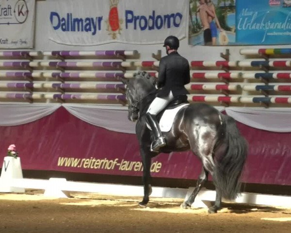 Reitturnier Eicherloh RH Laurent/Obb. 2019