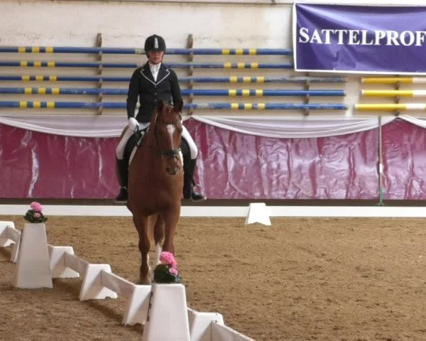Reitturnier Eicherloh RH Laurent/Obb. 2019