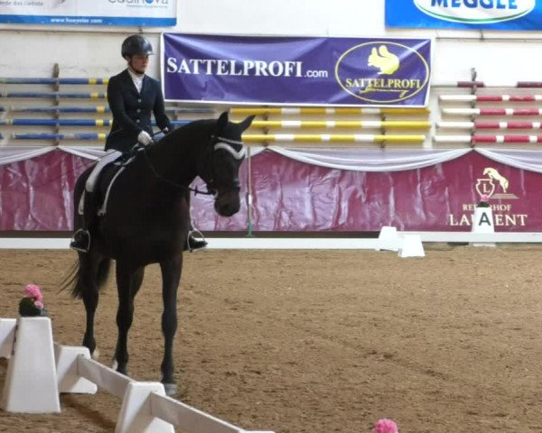 Reitturnier Eicherloh RH Laurent/Obb. 2019
