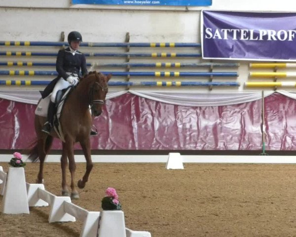 Reitturnier Eicherloh RH Laurent/Obb. 2019