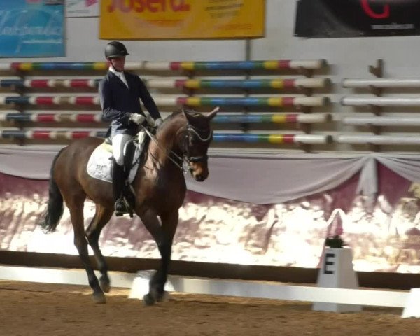 Reitturnier Eicherloh RH Laurent/Obb. 2019