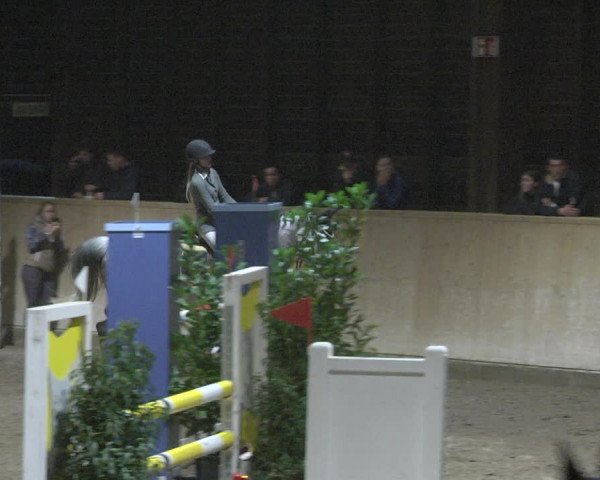 Reitturnier Mannheim-Neckarau 2019