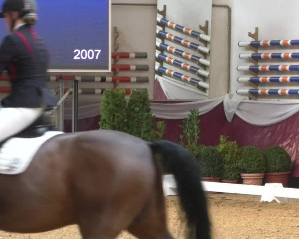 Reitturnier Eicherloh RH Laurent/Obb. 2019