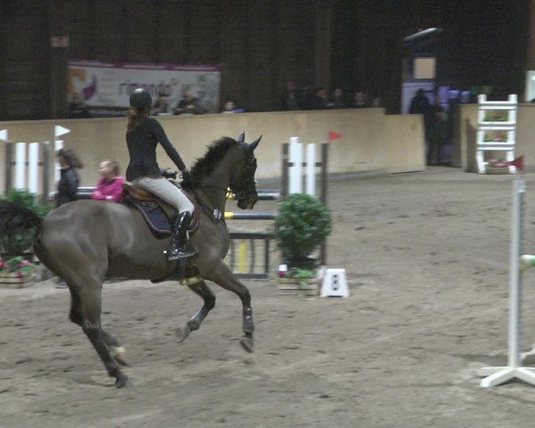 Reitturnier Mannheim-Neckarau 2019