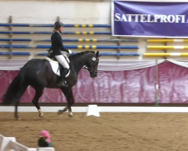 Reitturnier Eicherloh RH Laurent/Obb. 2019