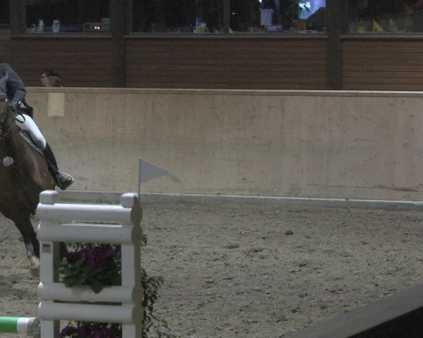 Reitturnier Mannheim-Neckarau 2019