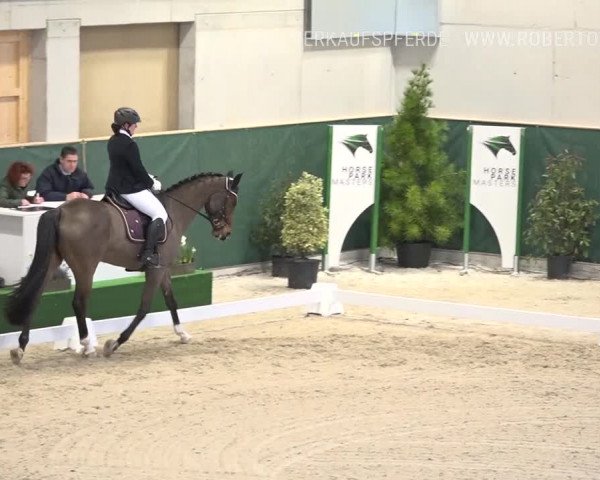 Reitturnier Dielsdorf, Horsepark 2019