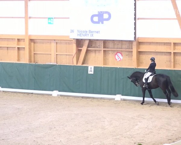 Reitturnier Dielsdorf, Horsepark 2019