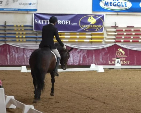 Reitturnier Eicherloh RH Laurent/Obb. 2019