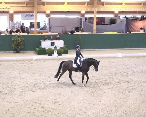 Reitturnier Dielsdorf, Horsepark 2019