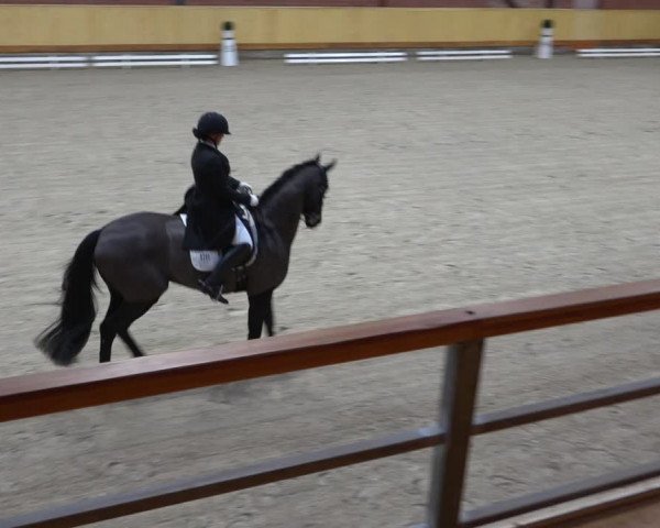Reitturnier Hamburg-Friedrichshulde/Sylva Kuhrt 2021