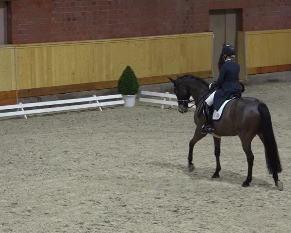 Reitturnier Hamburg-Friedrichshulde/Sylva Kuhrt 2021